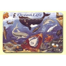 Painless Learning Placemats Ocean Life Placemat MRSK1028